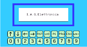 Terminale Grafico LCD